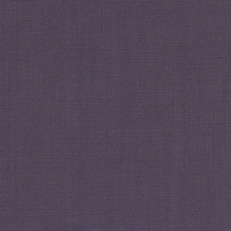 Plum 61