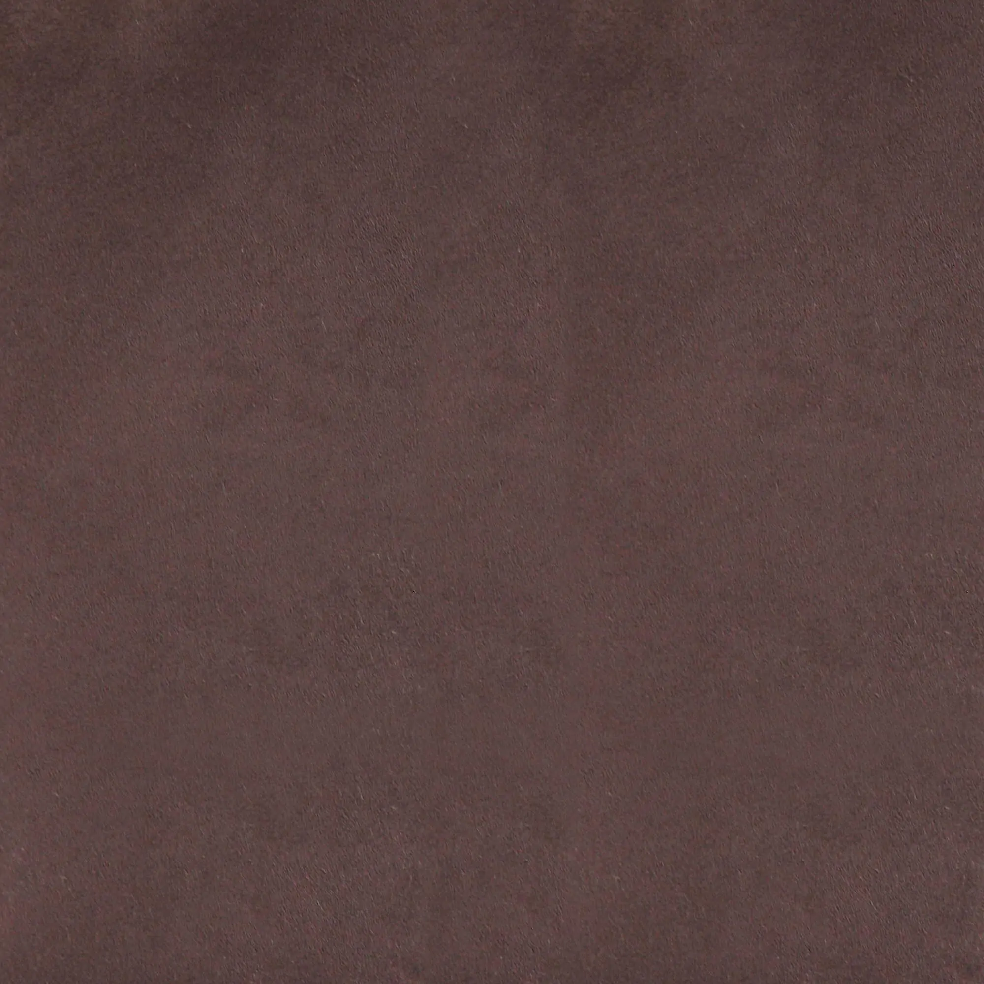 Maroon 024 | Speedo