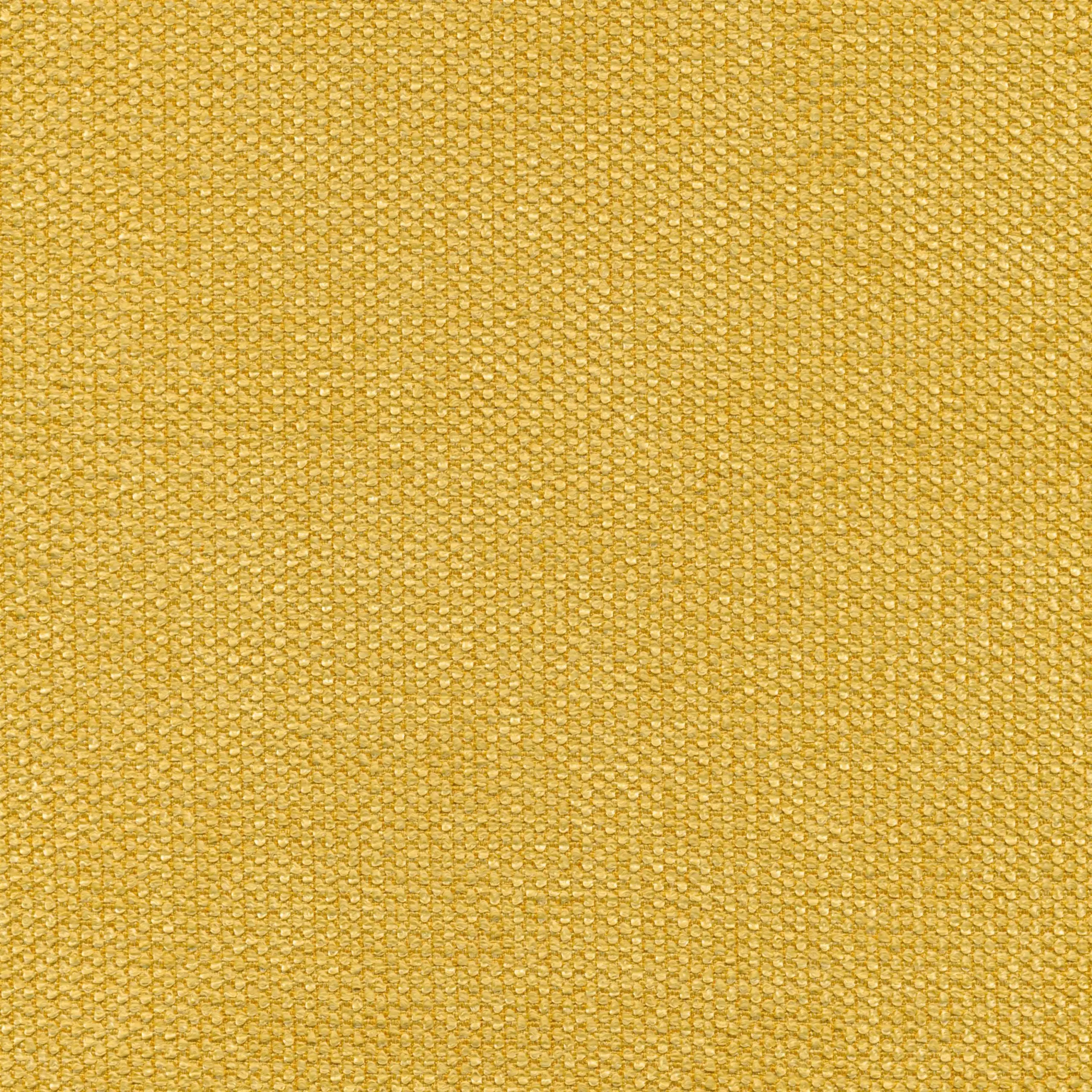 Banana 26 | Onyx