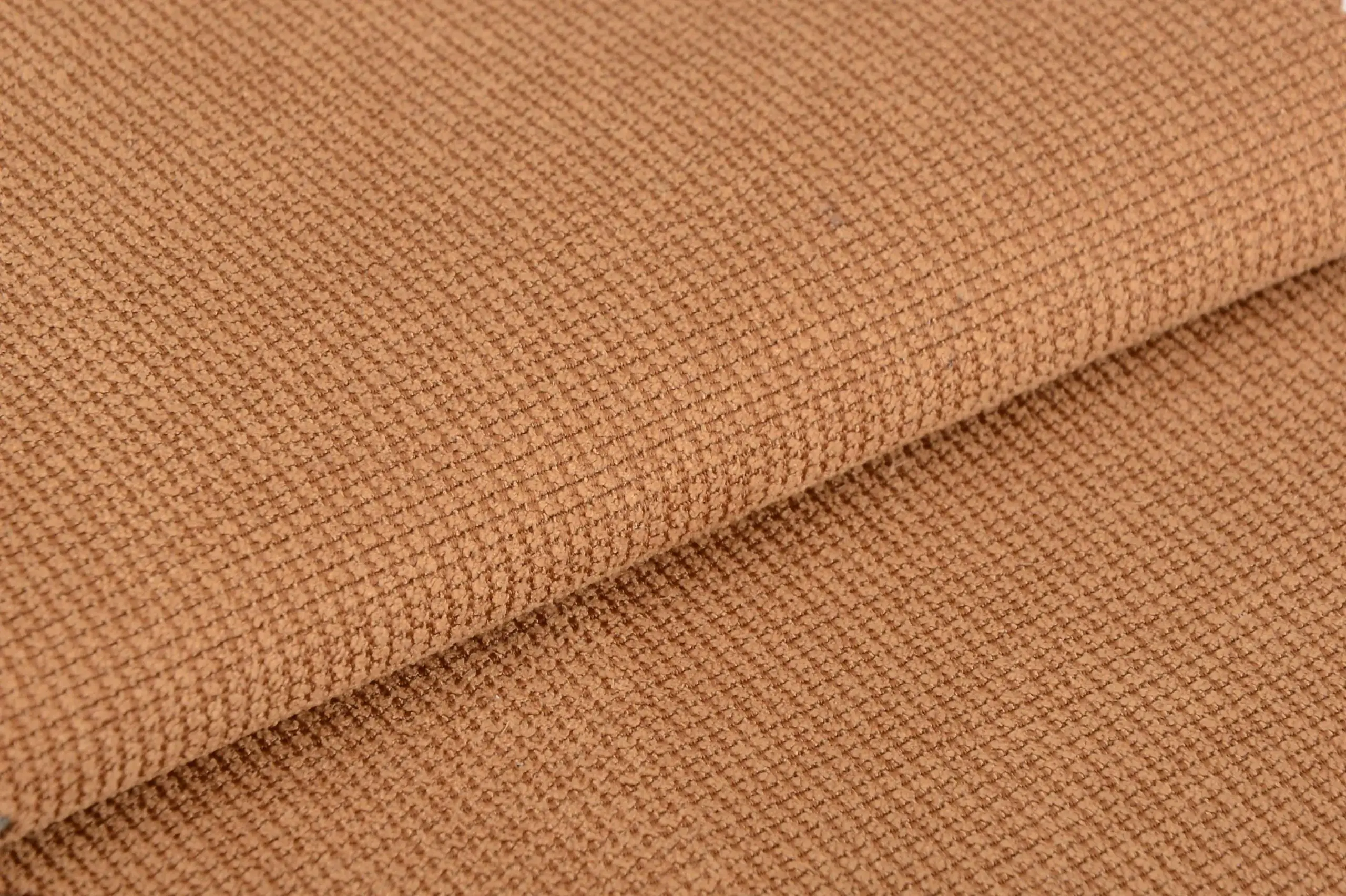 Chestnut 005 | Paragon