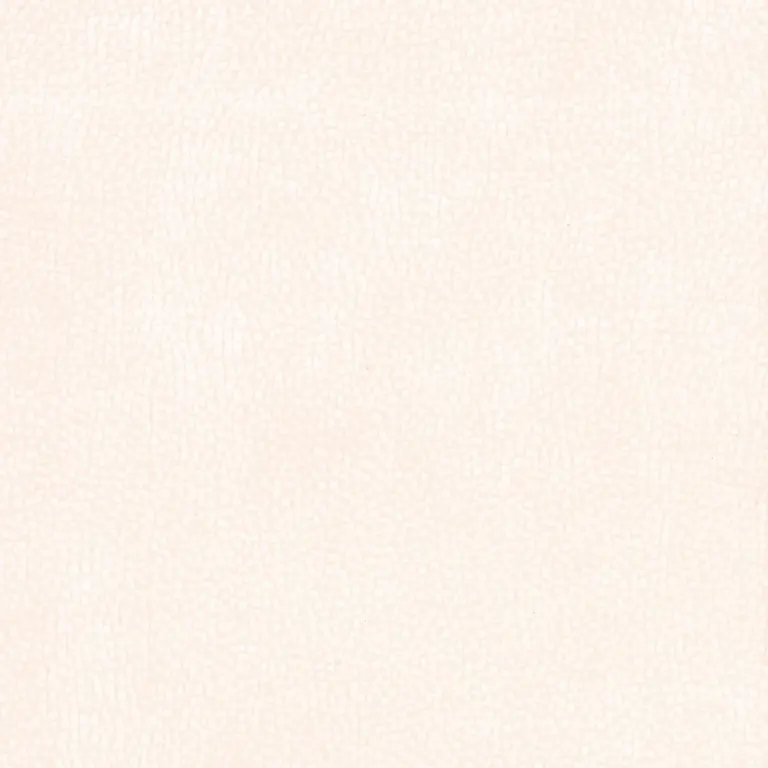 Raffia 088