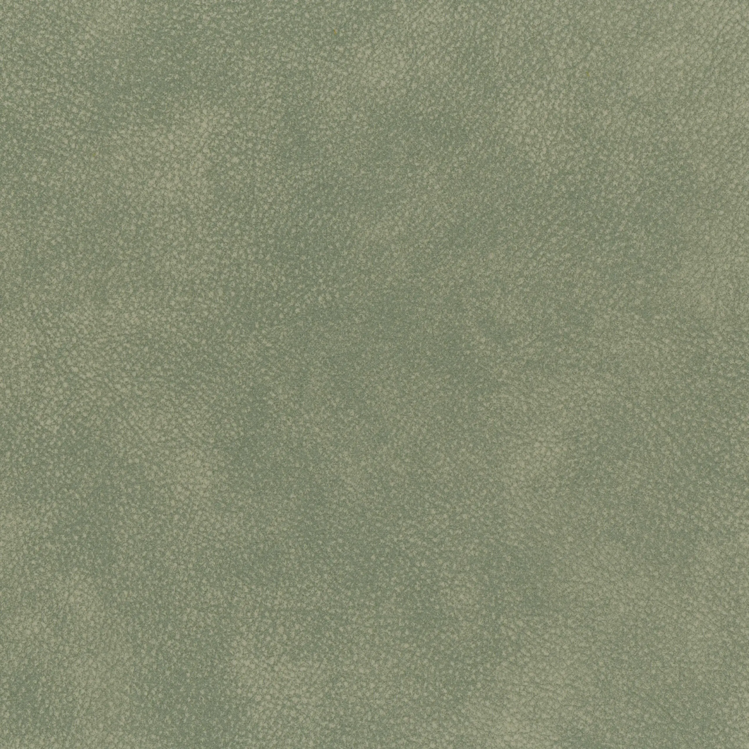 Limestone 68 | Tremiti