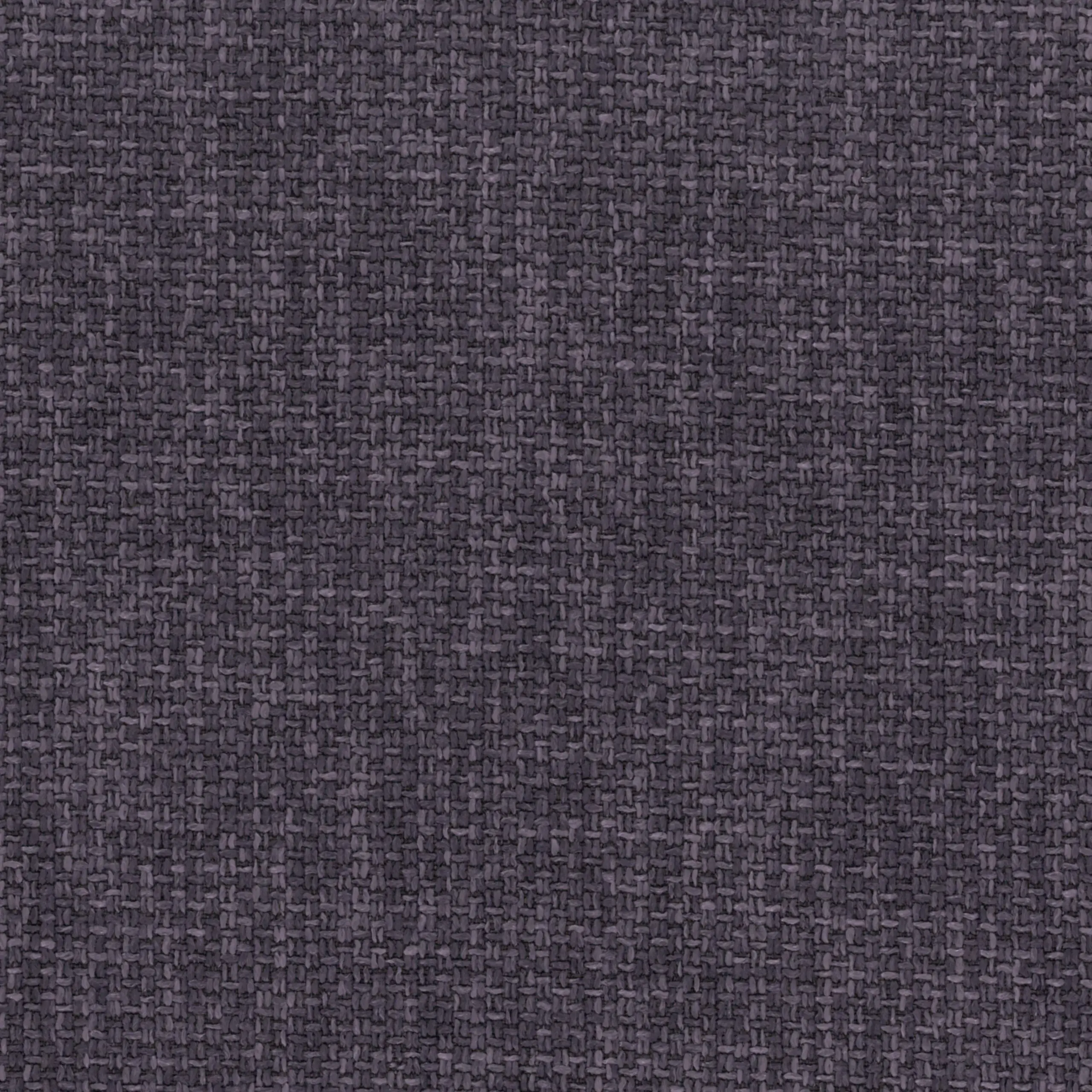 Violet 114 | Sekar