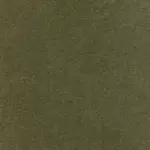 Olive 18 | Sigma