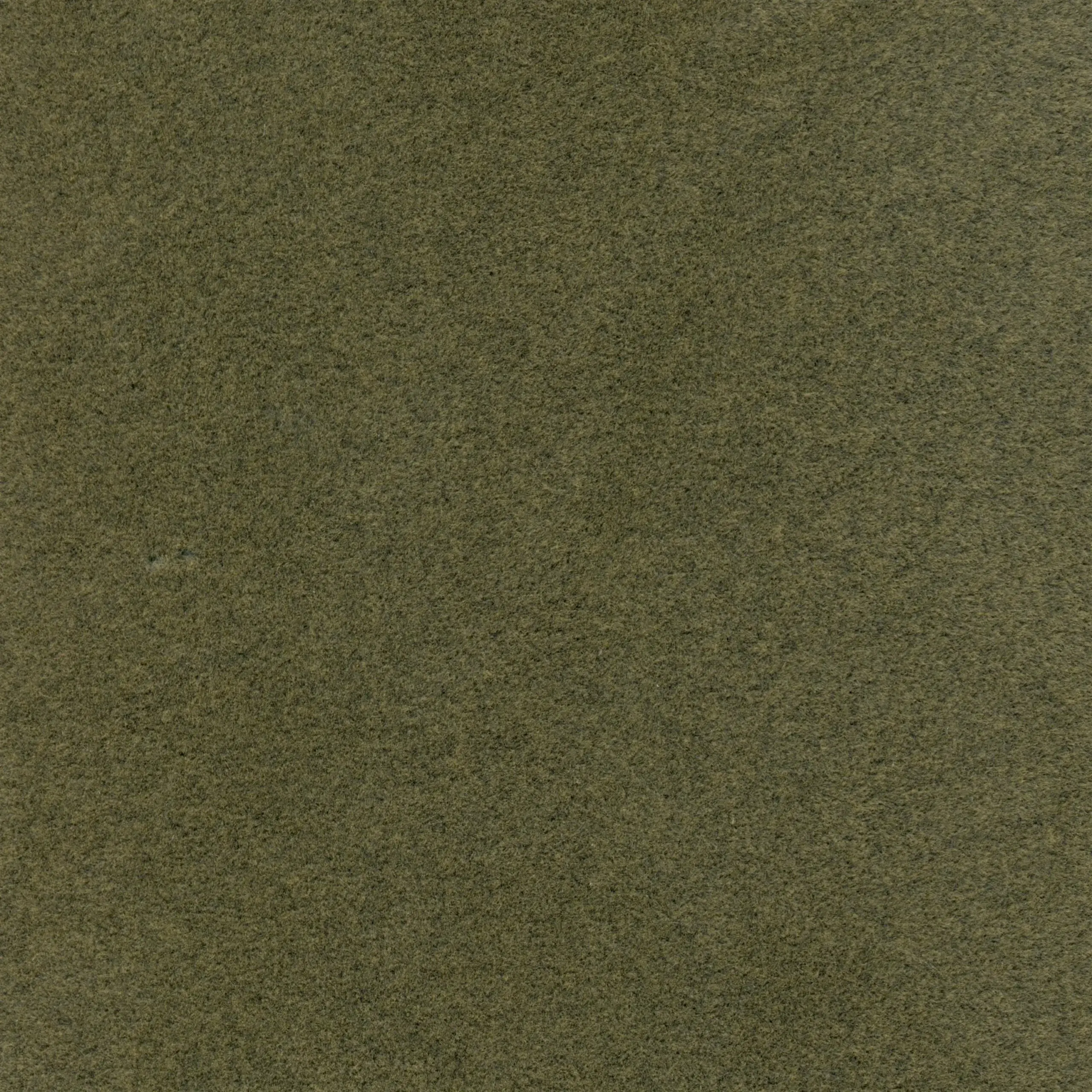 Olive 18 | Sigma