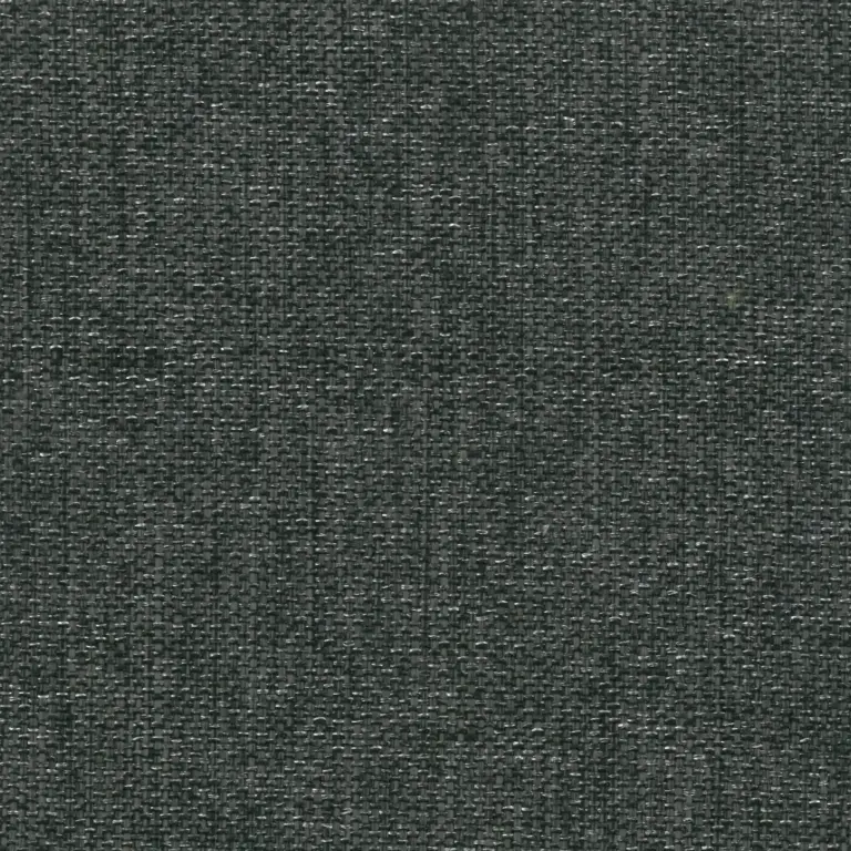 Onyx 11