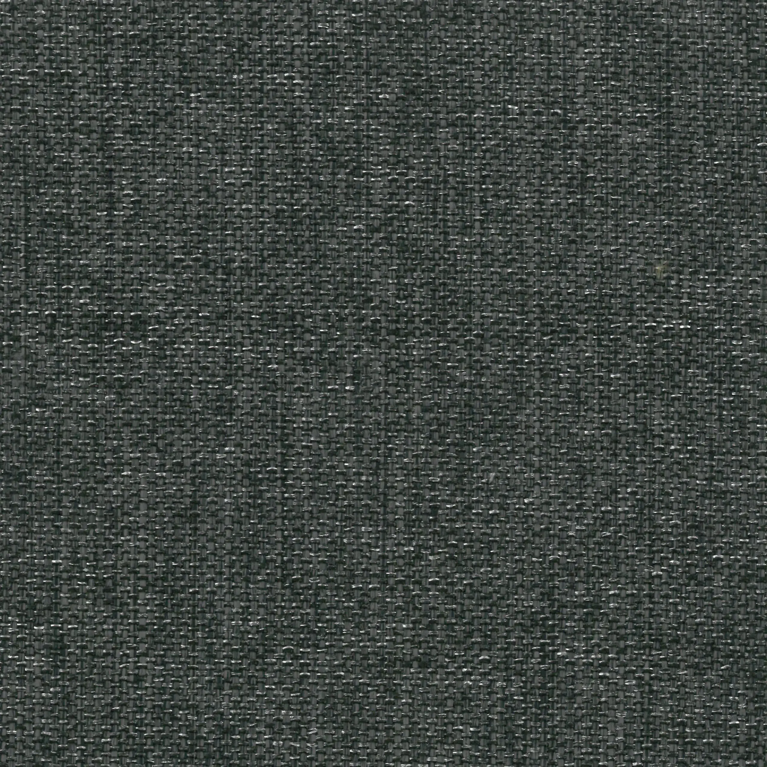 Onyx 11 | Manfred
