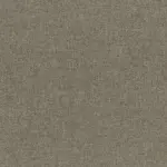 Taupe 15 | Linosa