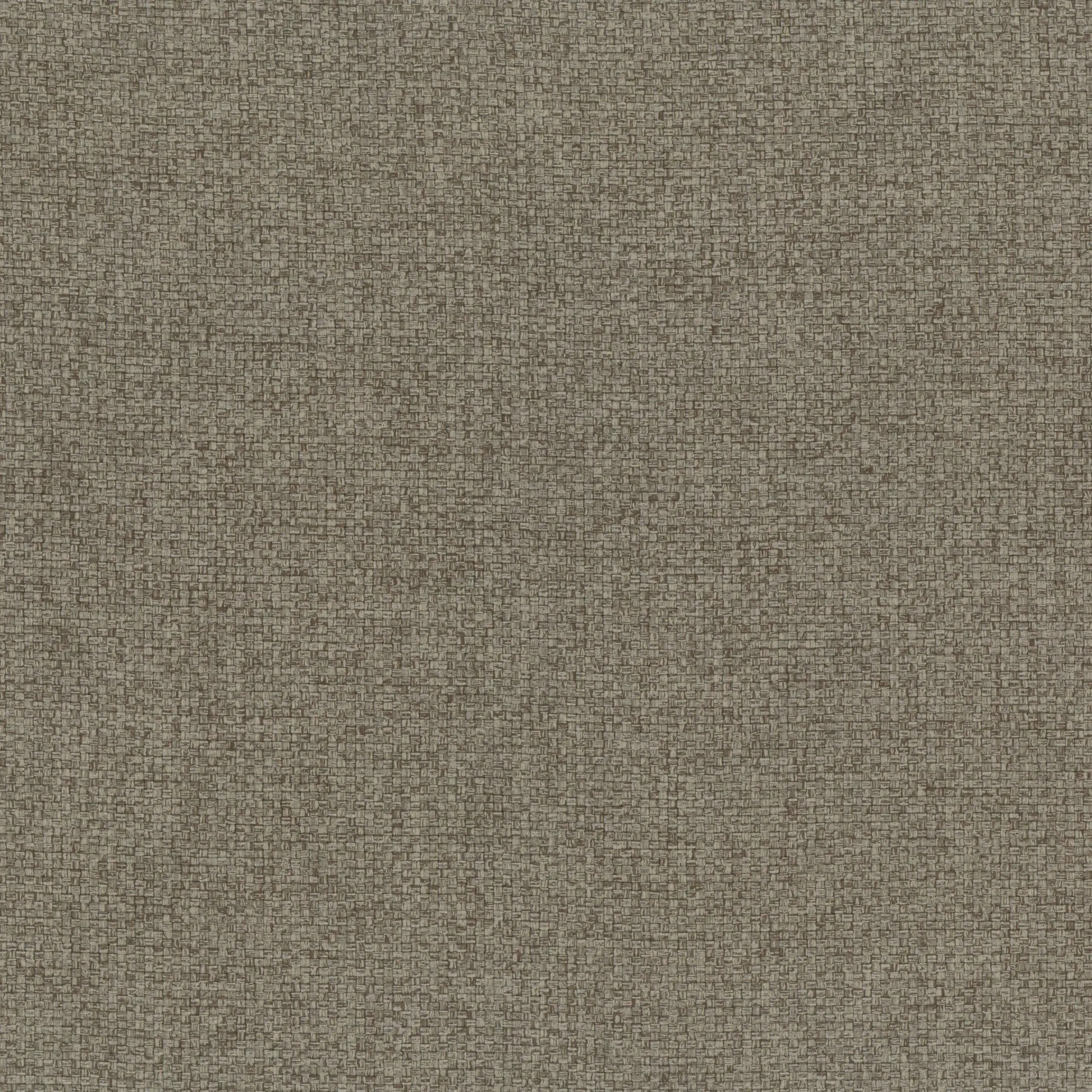 Taupe 15 | Linosa