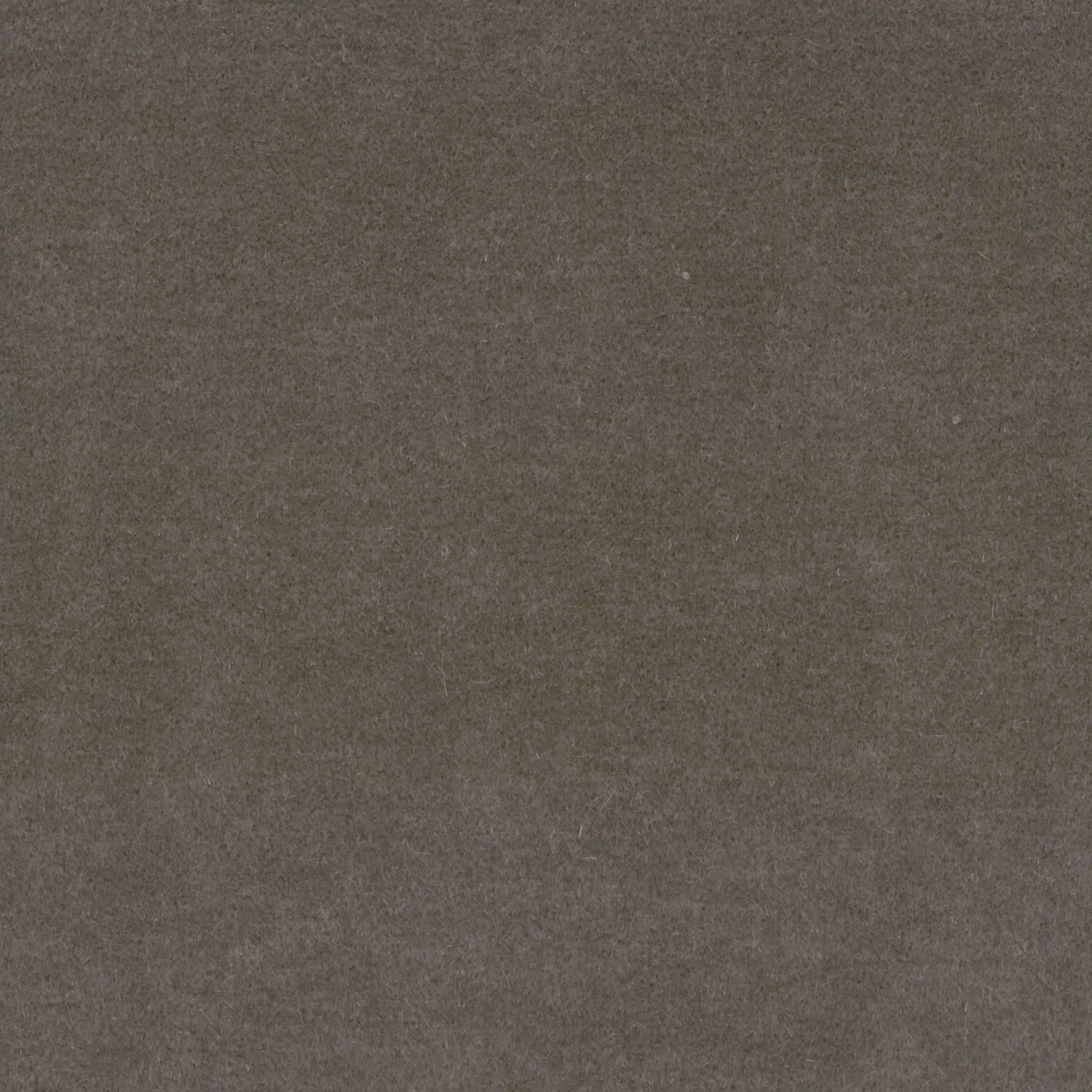 Taupe 07 | Lincoln