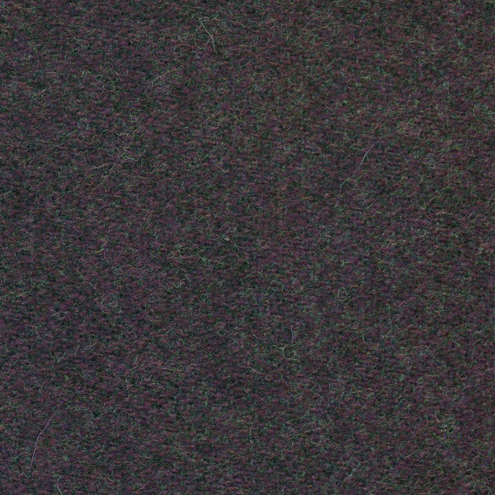 Purple 443 | Savoy FR