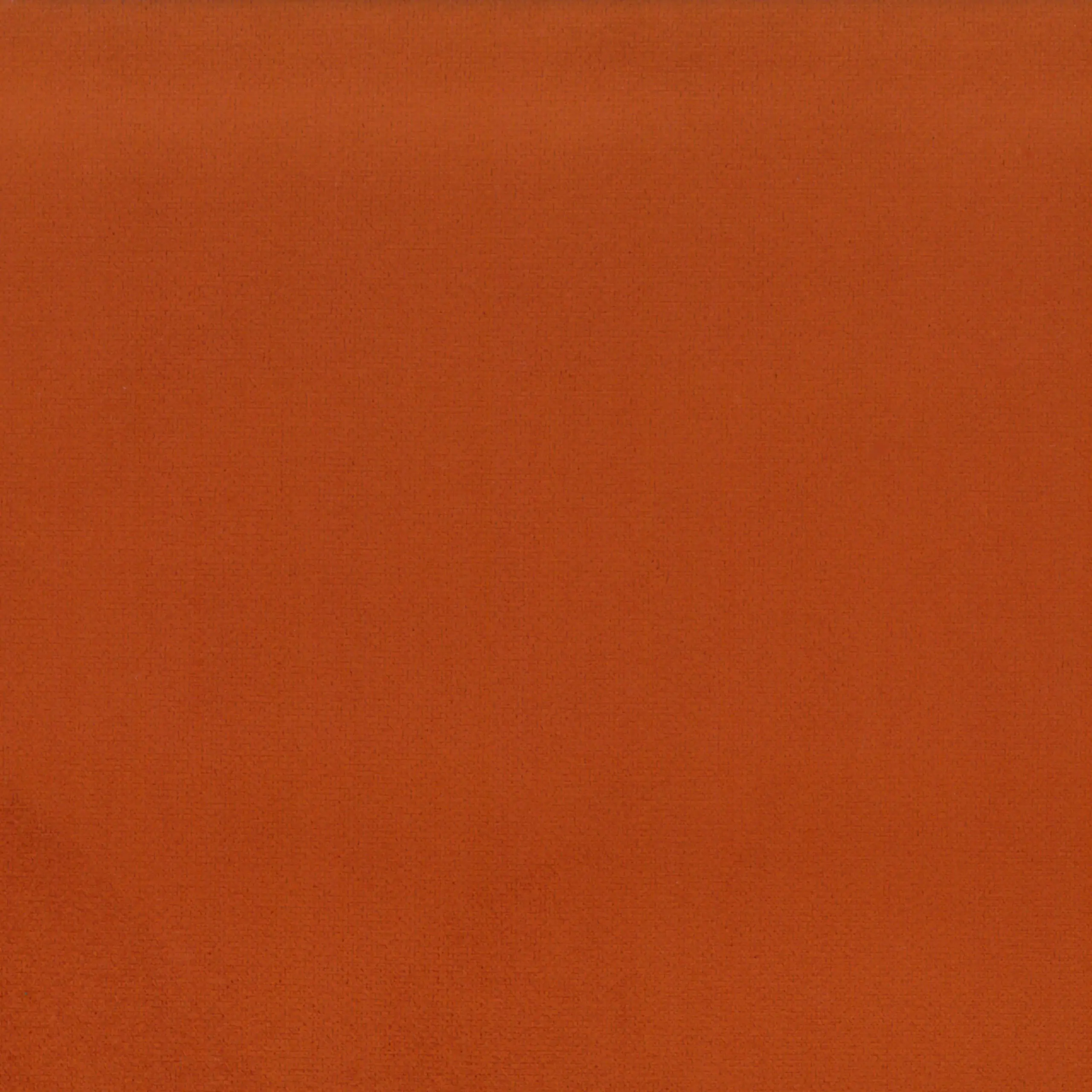 Saffron 22 | Scot
