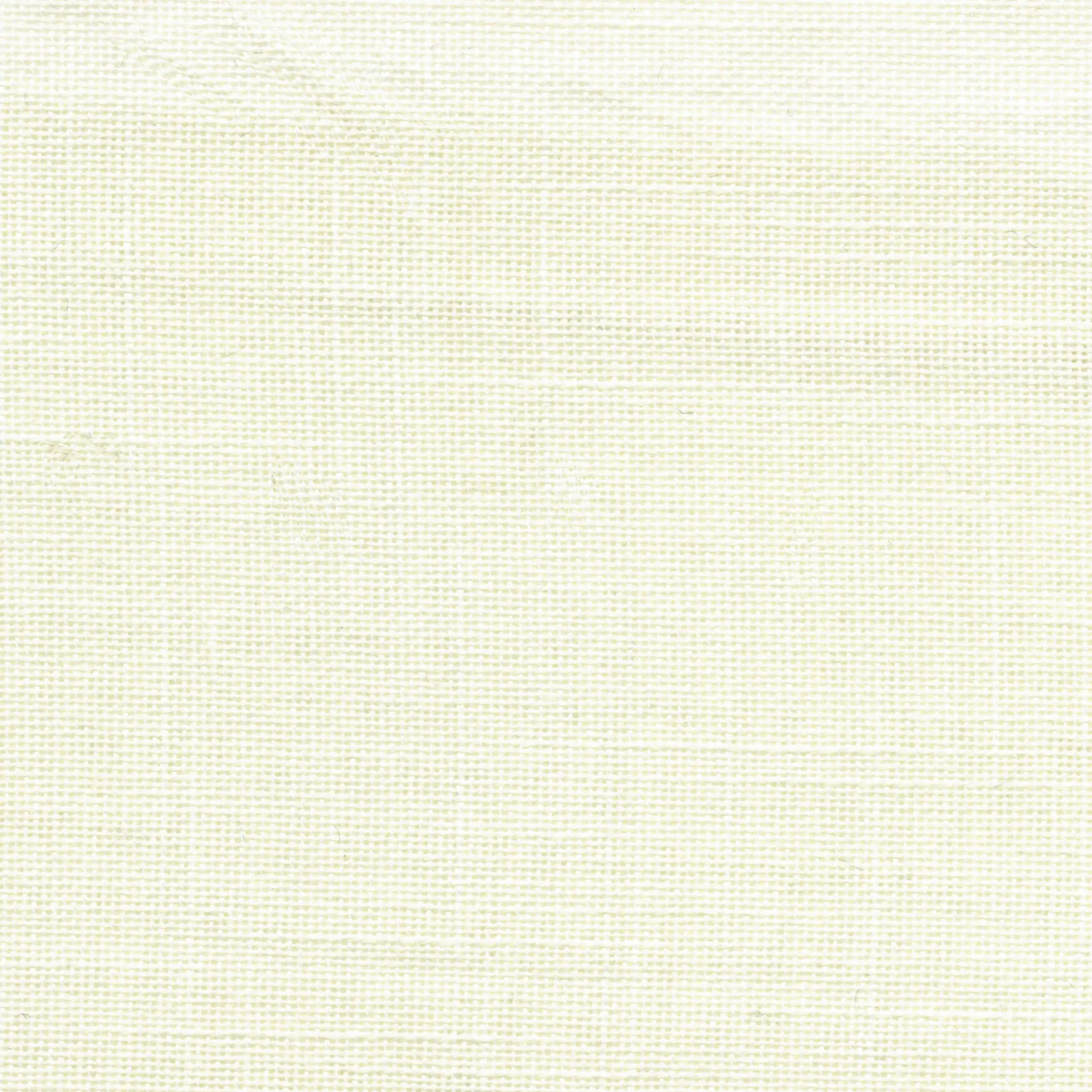 Pudding 03 | Native