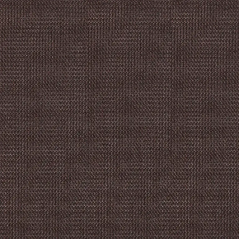 Brownie 006