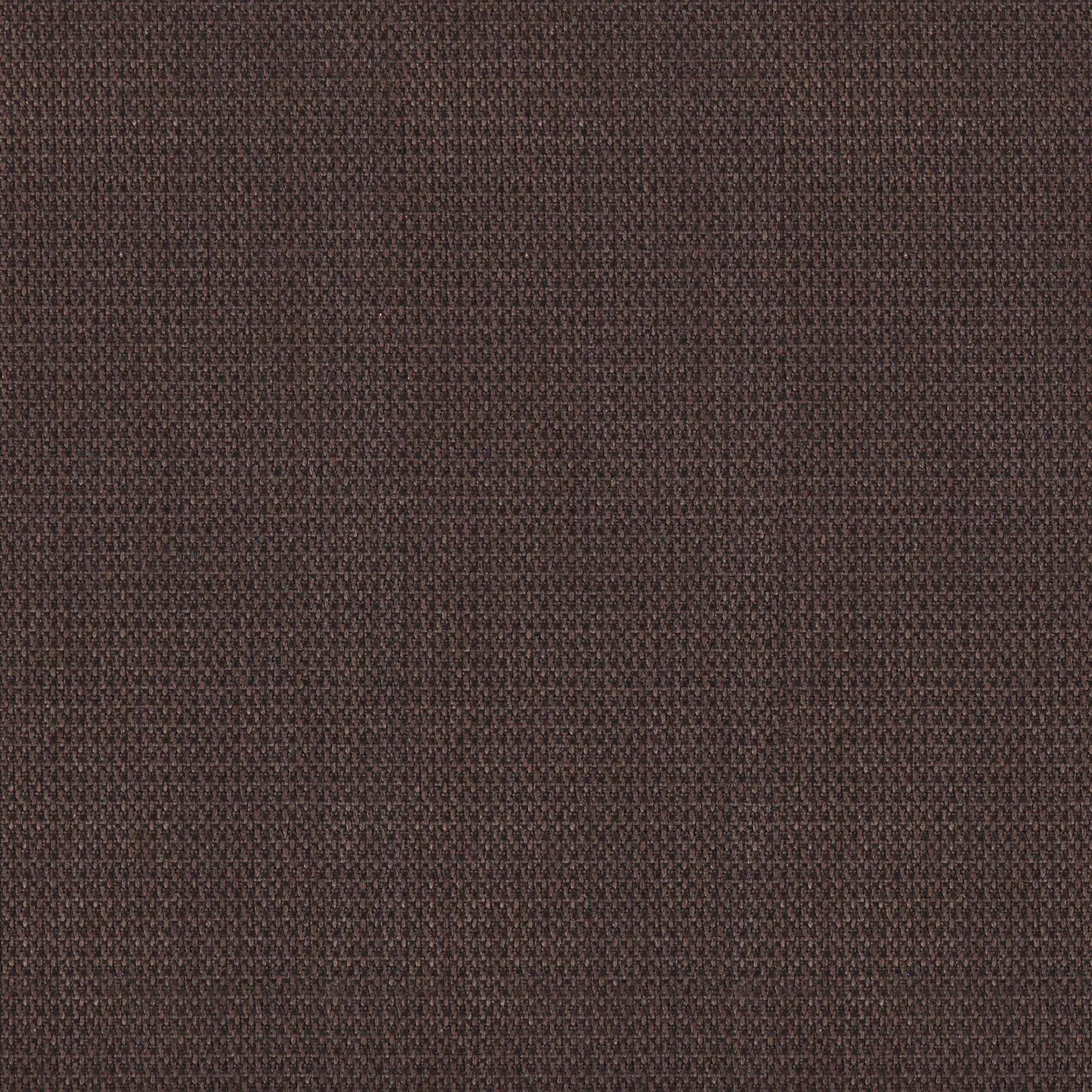 Brownie 006 | Perfection