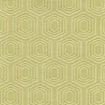 Oasis 62 | Vigor