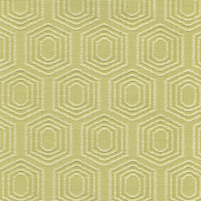 Oasis 62