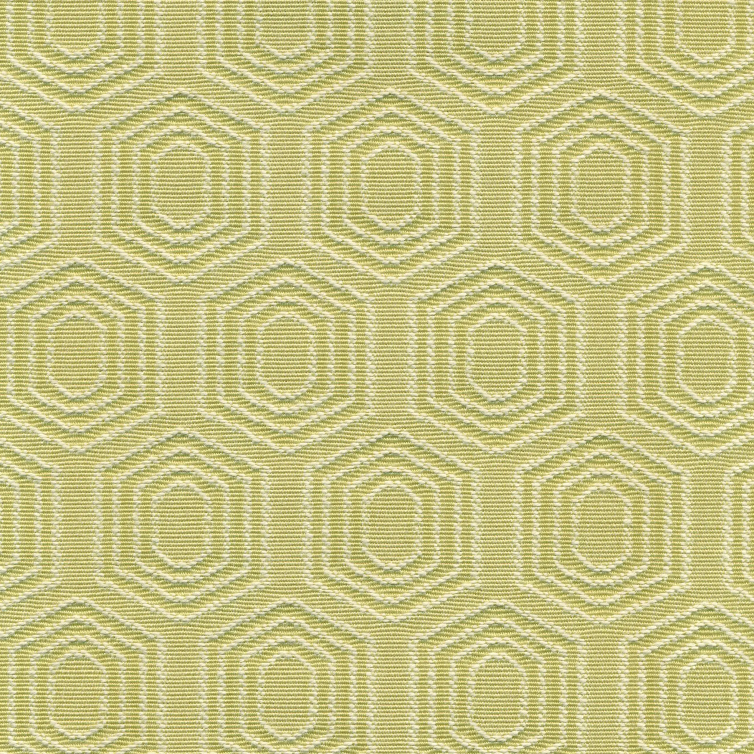 Oasis 62 | Vigor