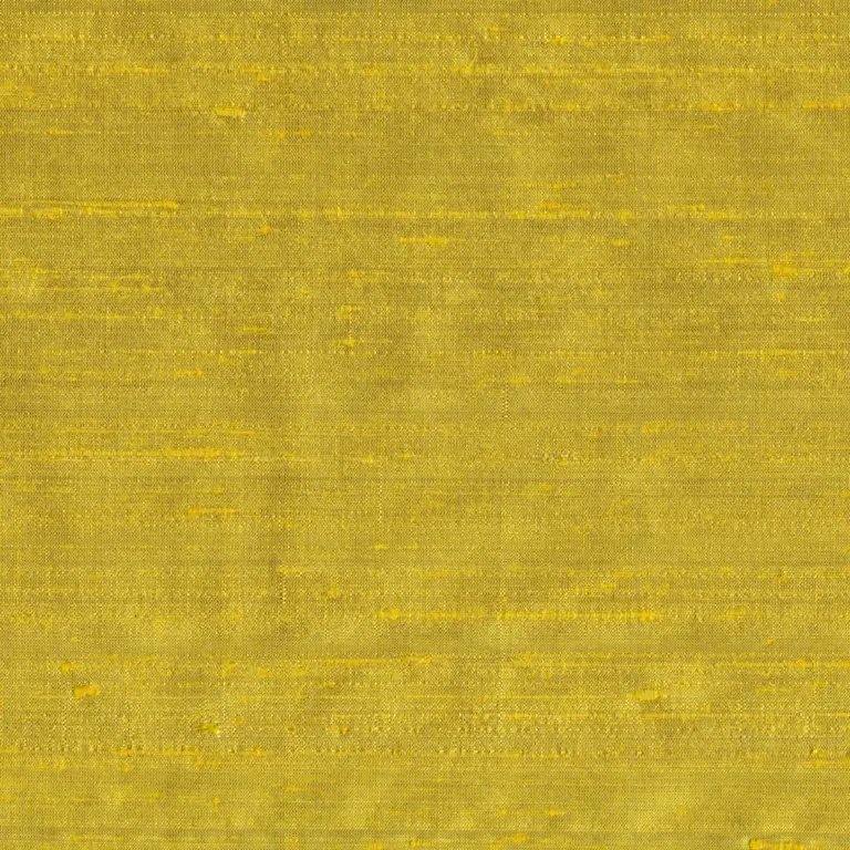 Acacia 053