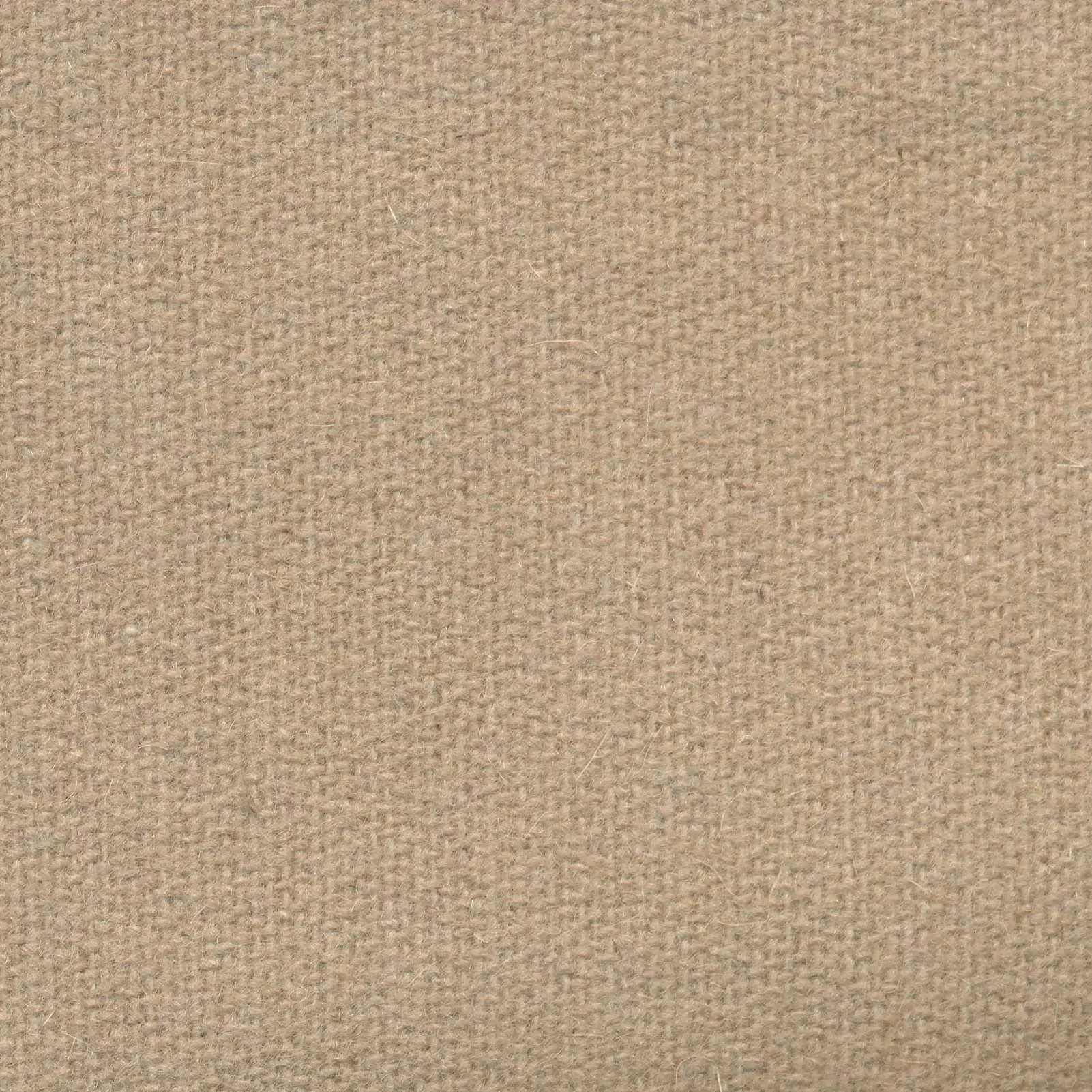 Jute 412 | Savoy FR