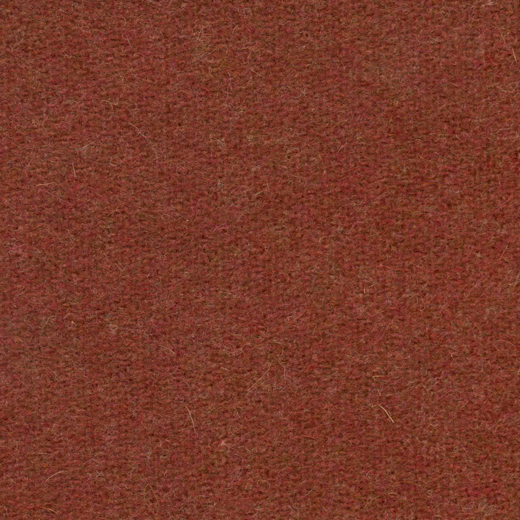 Sienna 096 | Savoy FR