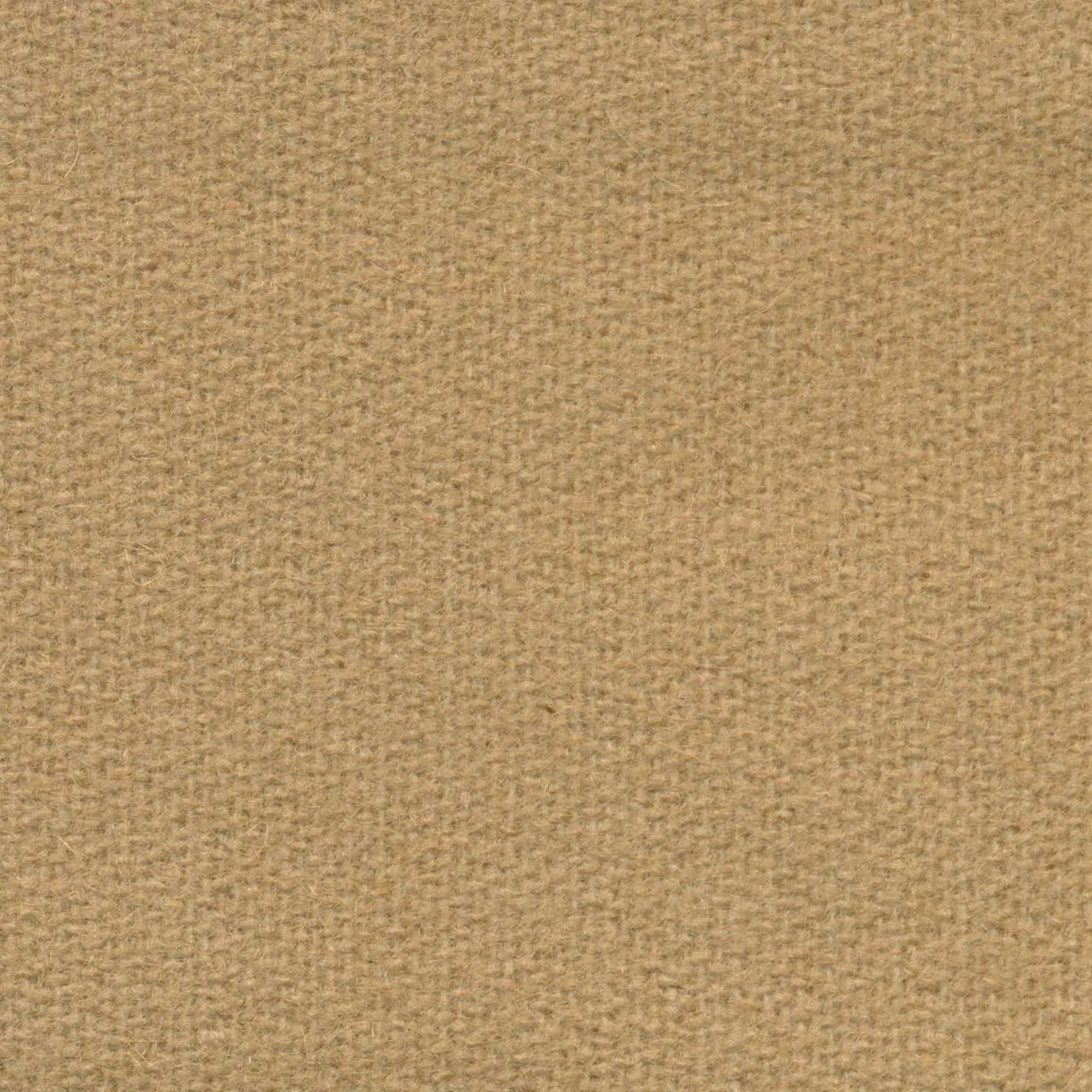 Greige H468 | Savoy FR