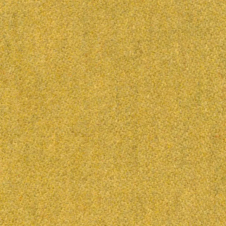 Mustard 63