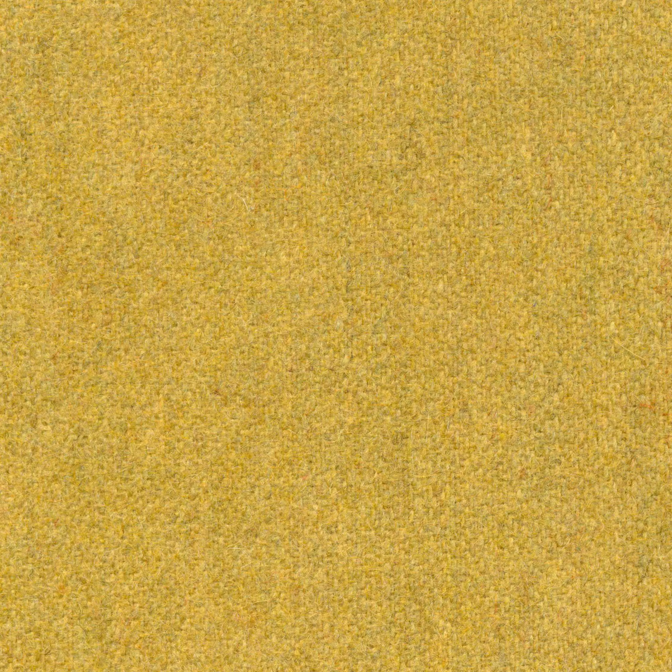 Mustard 63 | Wool