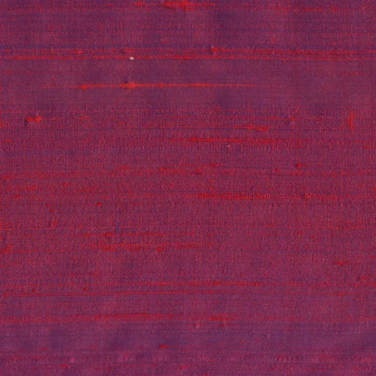 Fuchsia 089