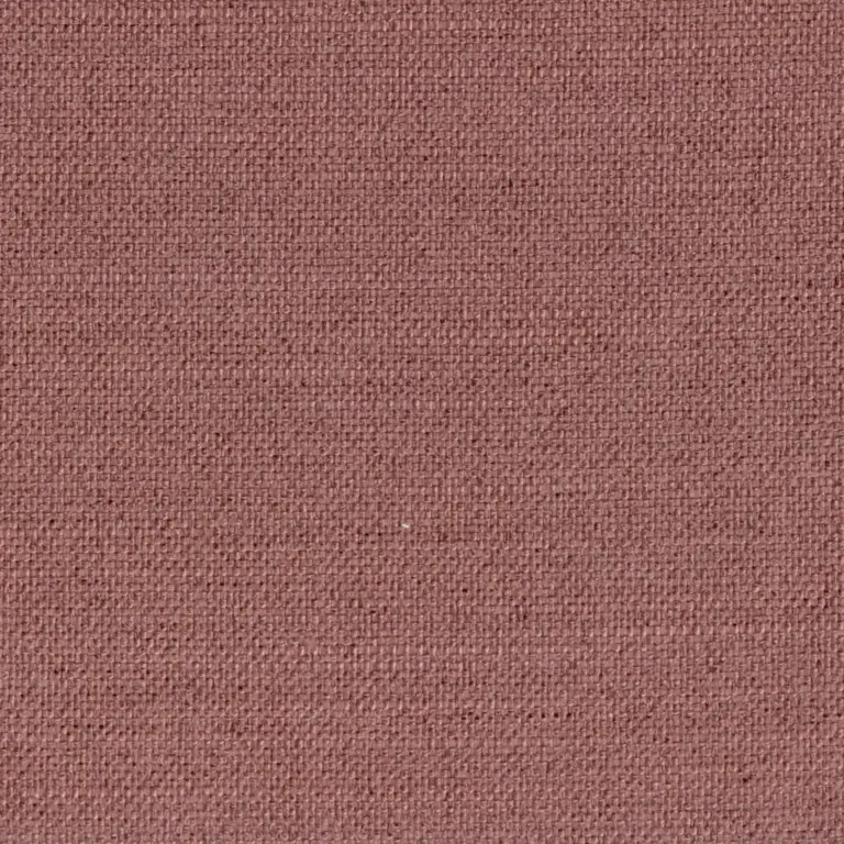 Sorbet 701