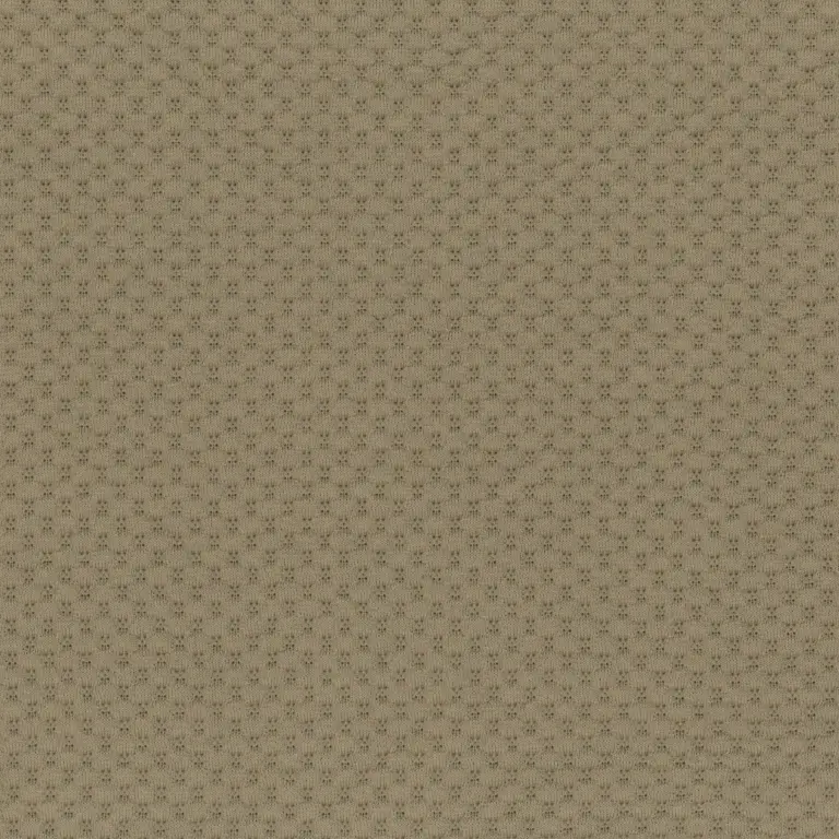 Savannah Tan 10