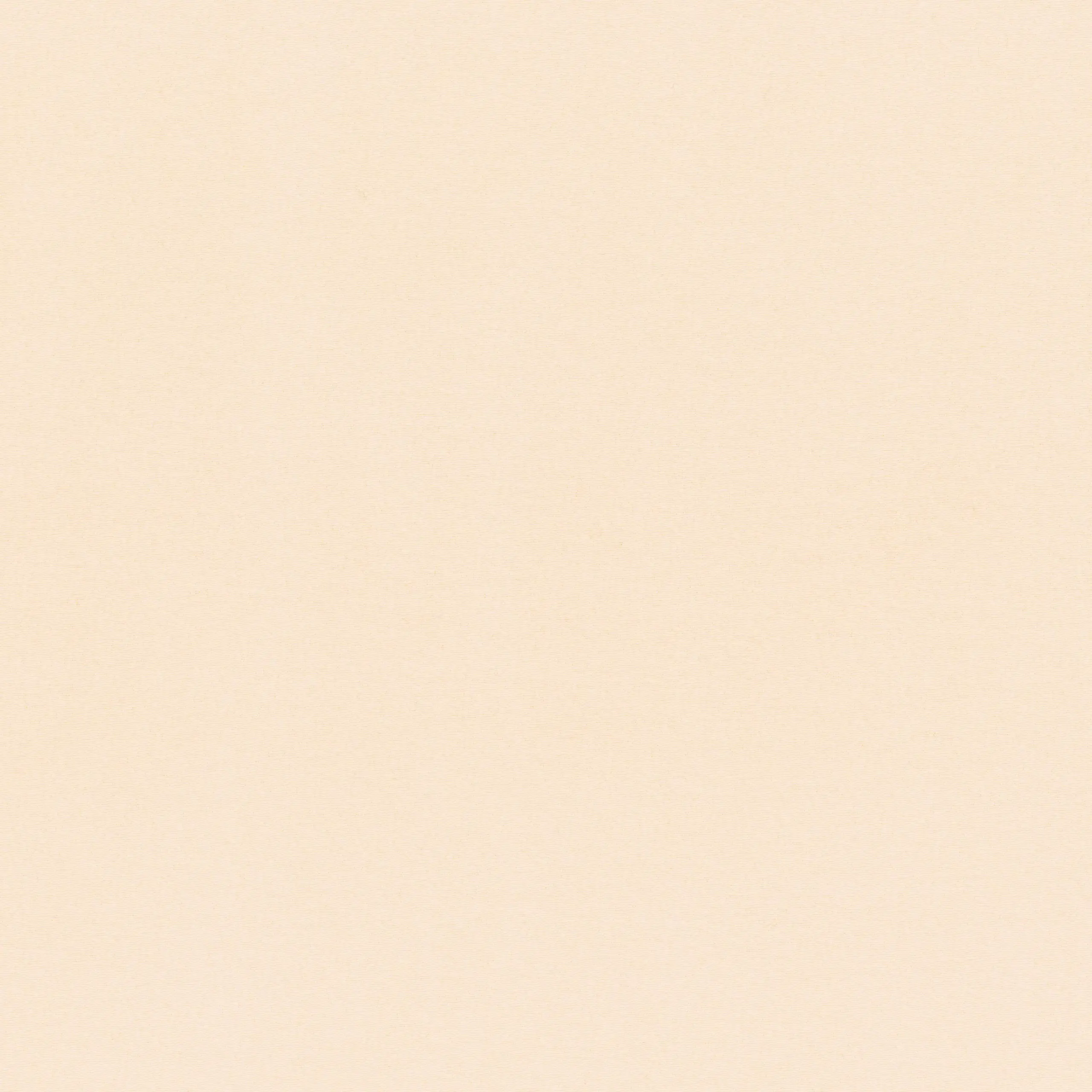 Primrose Pink 16 | Sage