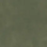 Ivy 56 | Tremiti