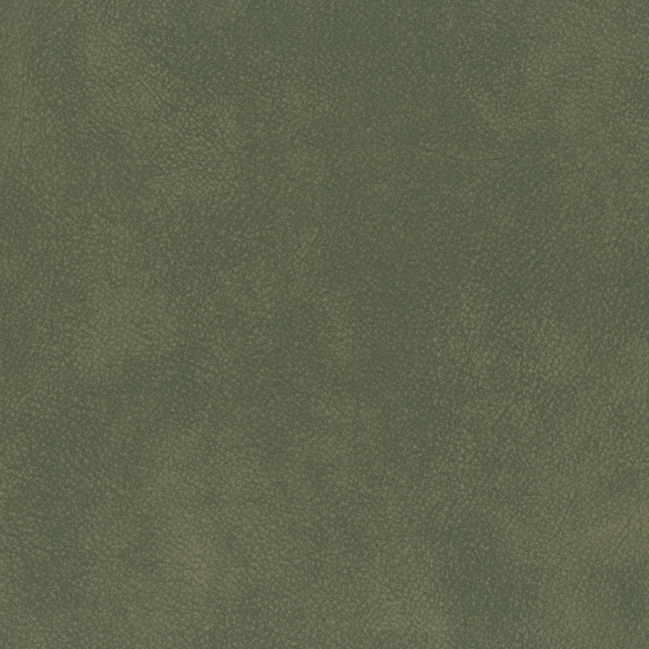Ivy 56 | Tremiti