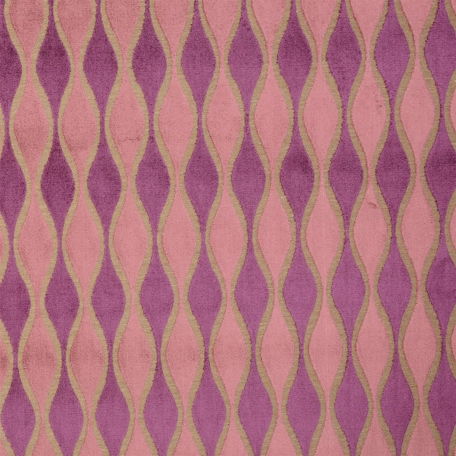 Graphic 64 | Linda