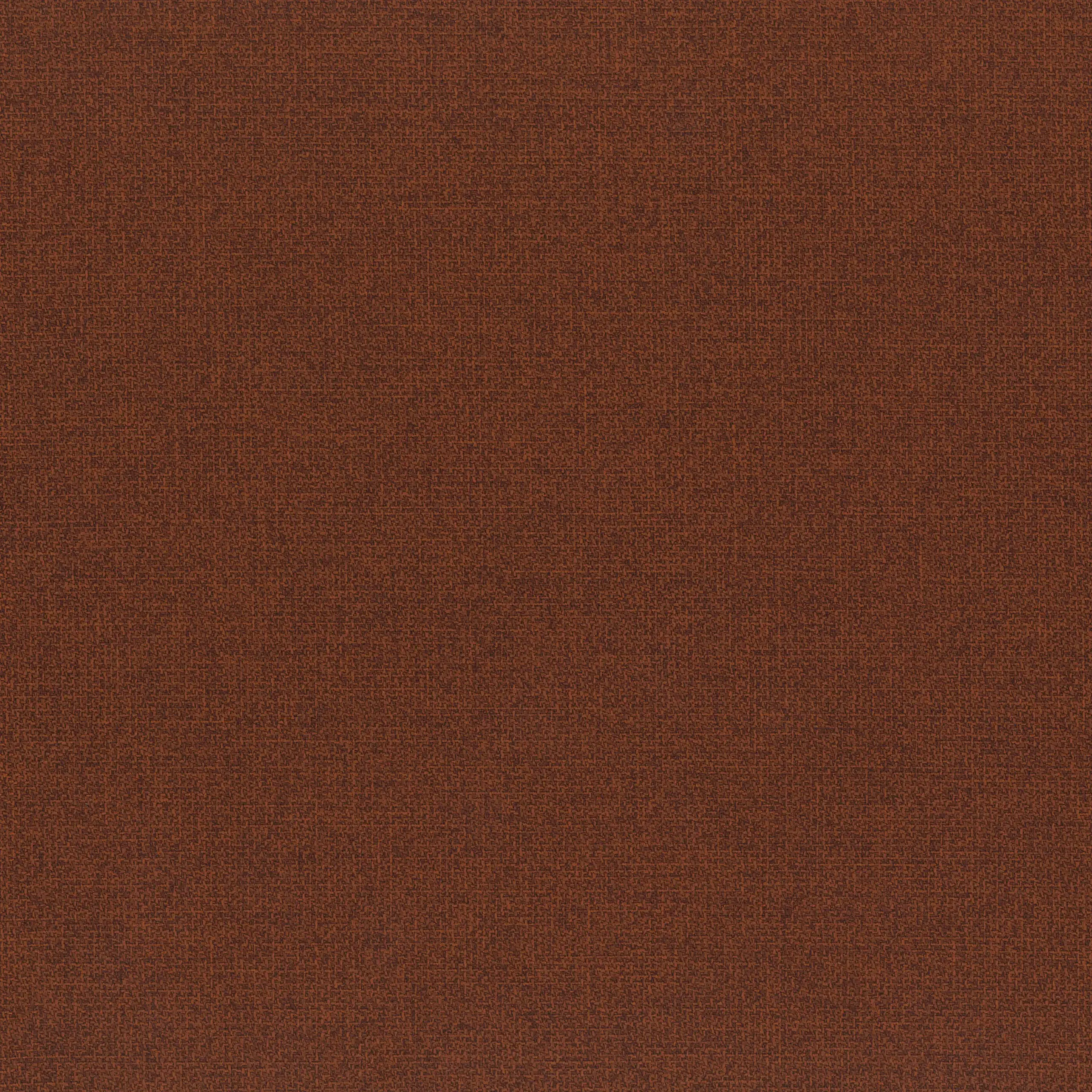 Mocha 26 | Ponza