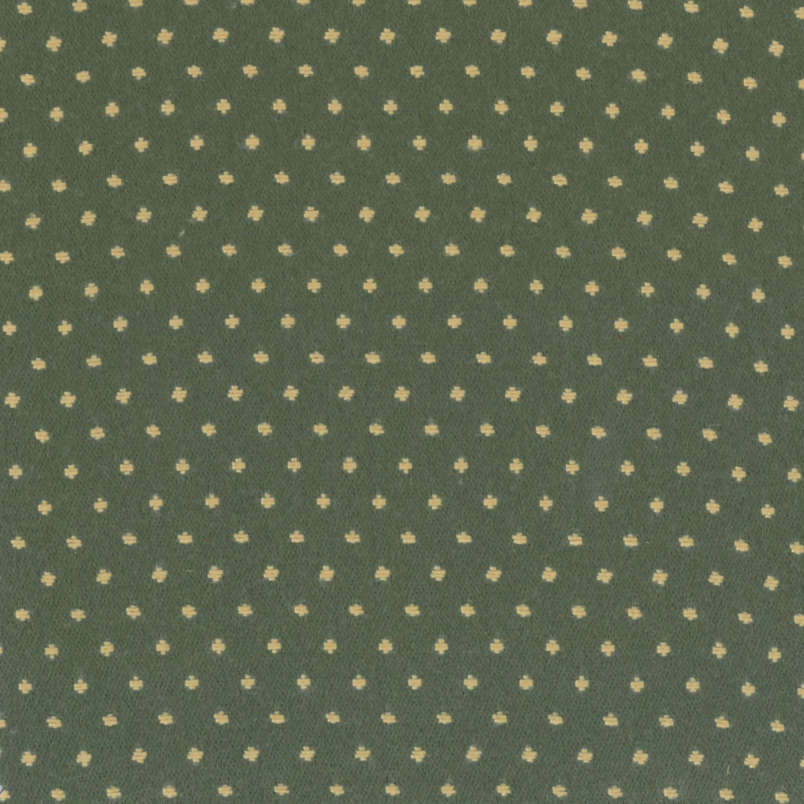 Green | Paola
