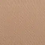 Warm Taupe 19 | Sage