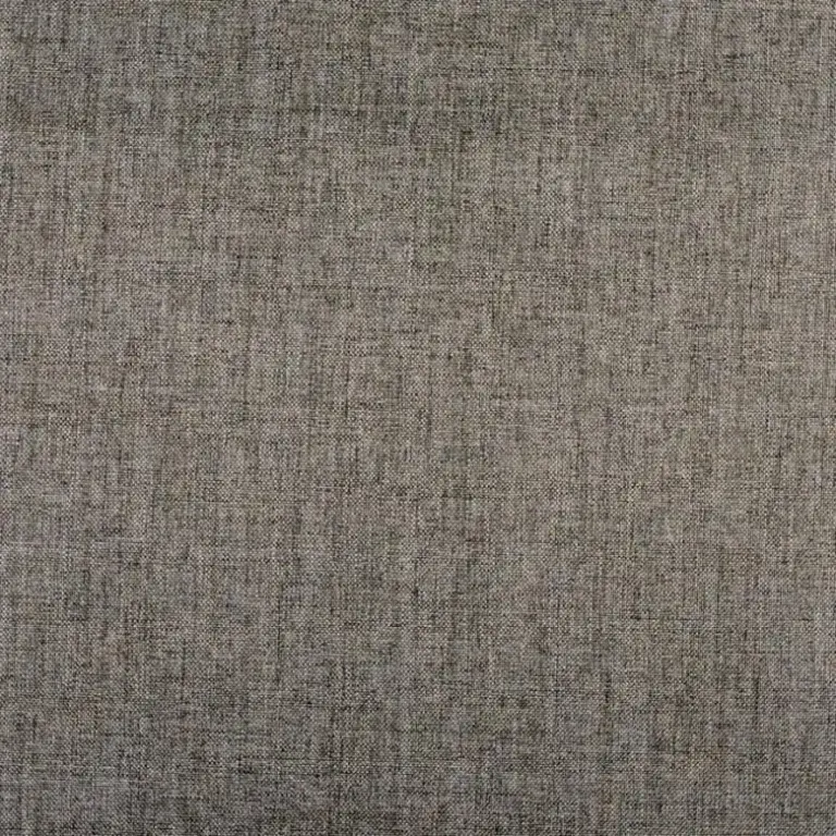 Chinchilla 18