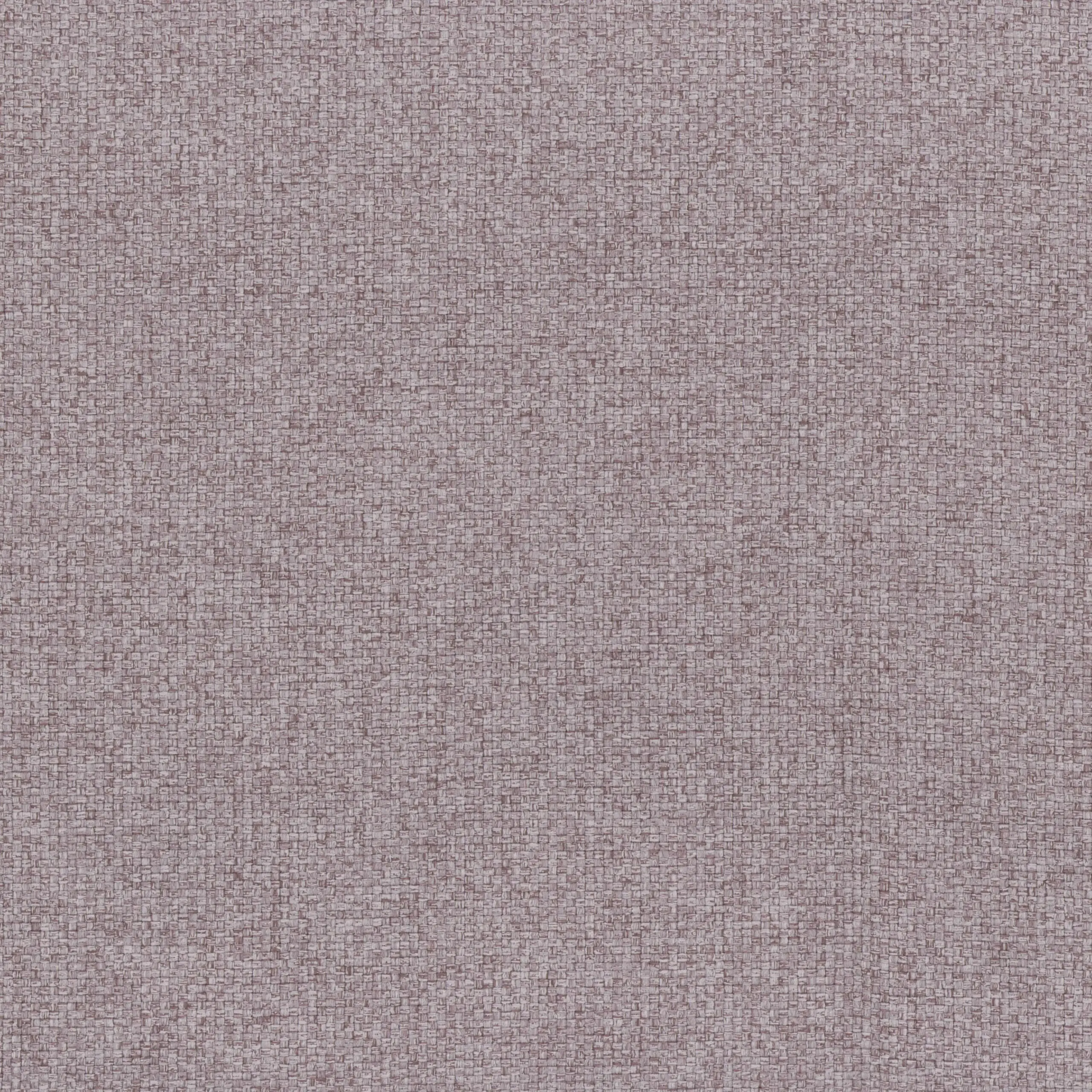 Elderberry 70 | Linosa