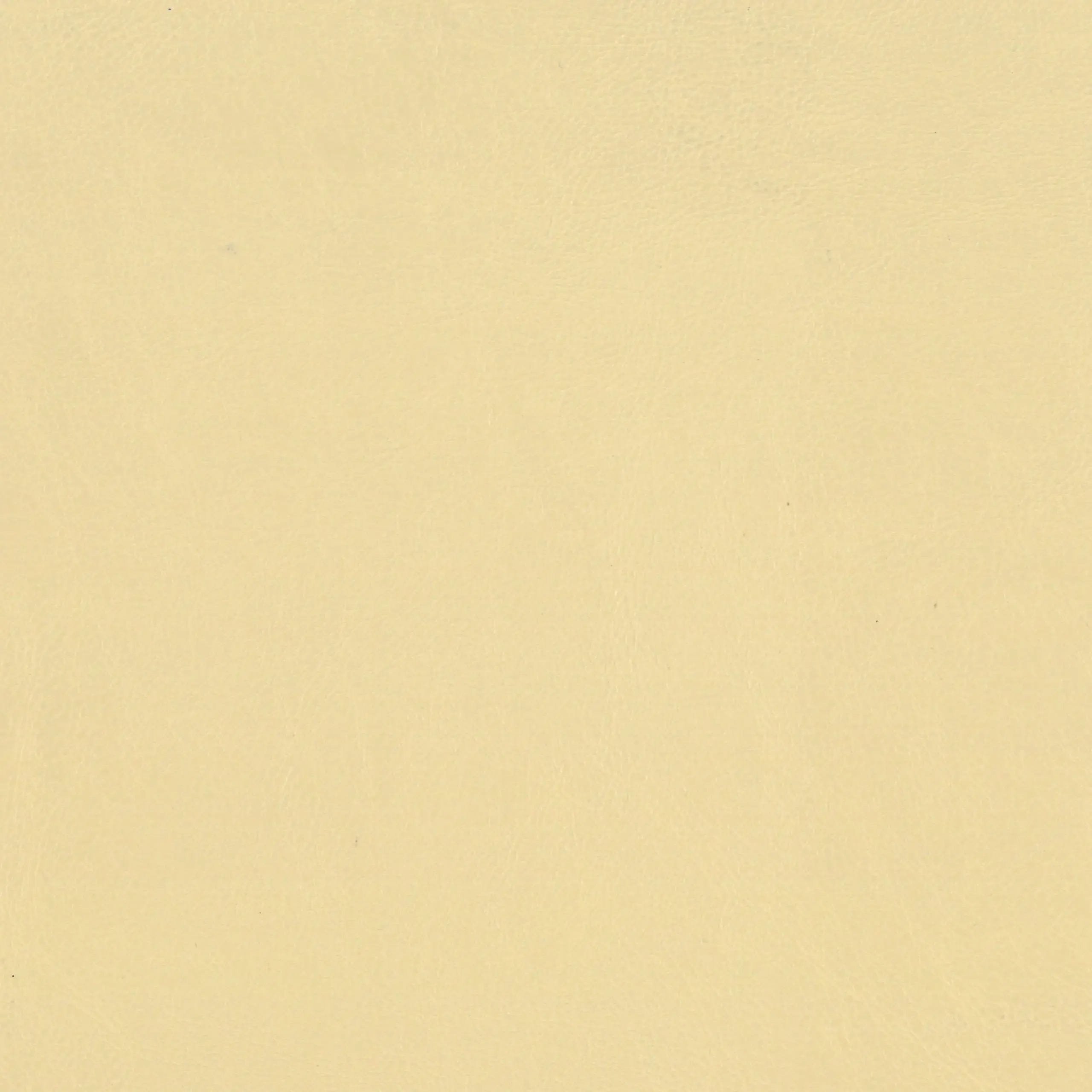 Cream 88 | Matrix FR