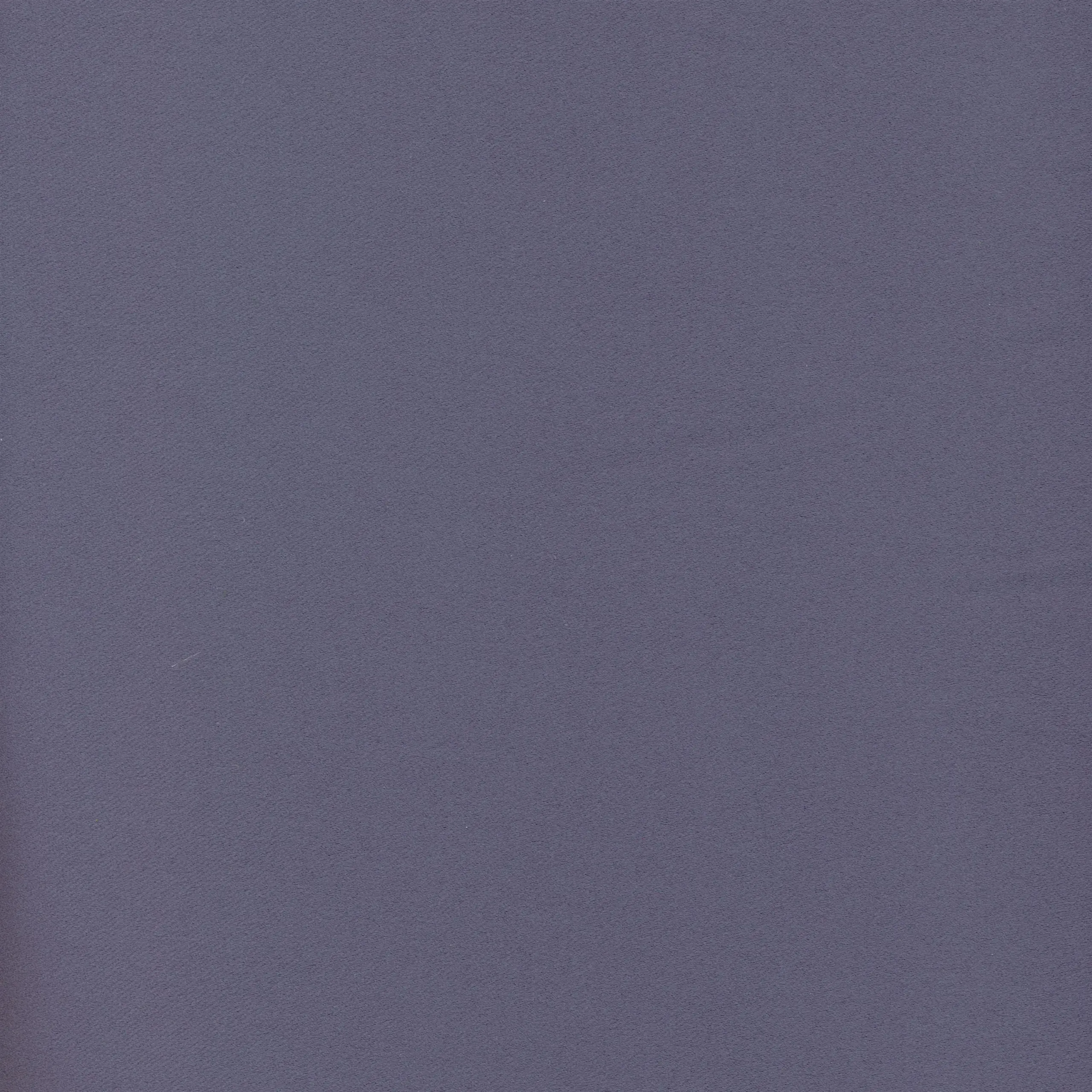 Wisteria 205 | Moonlight
