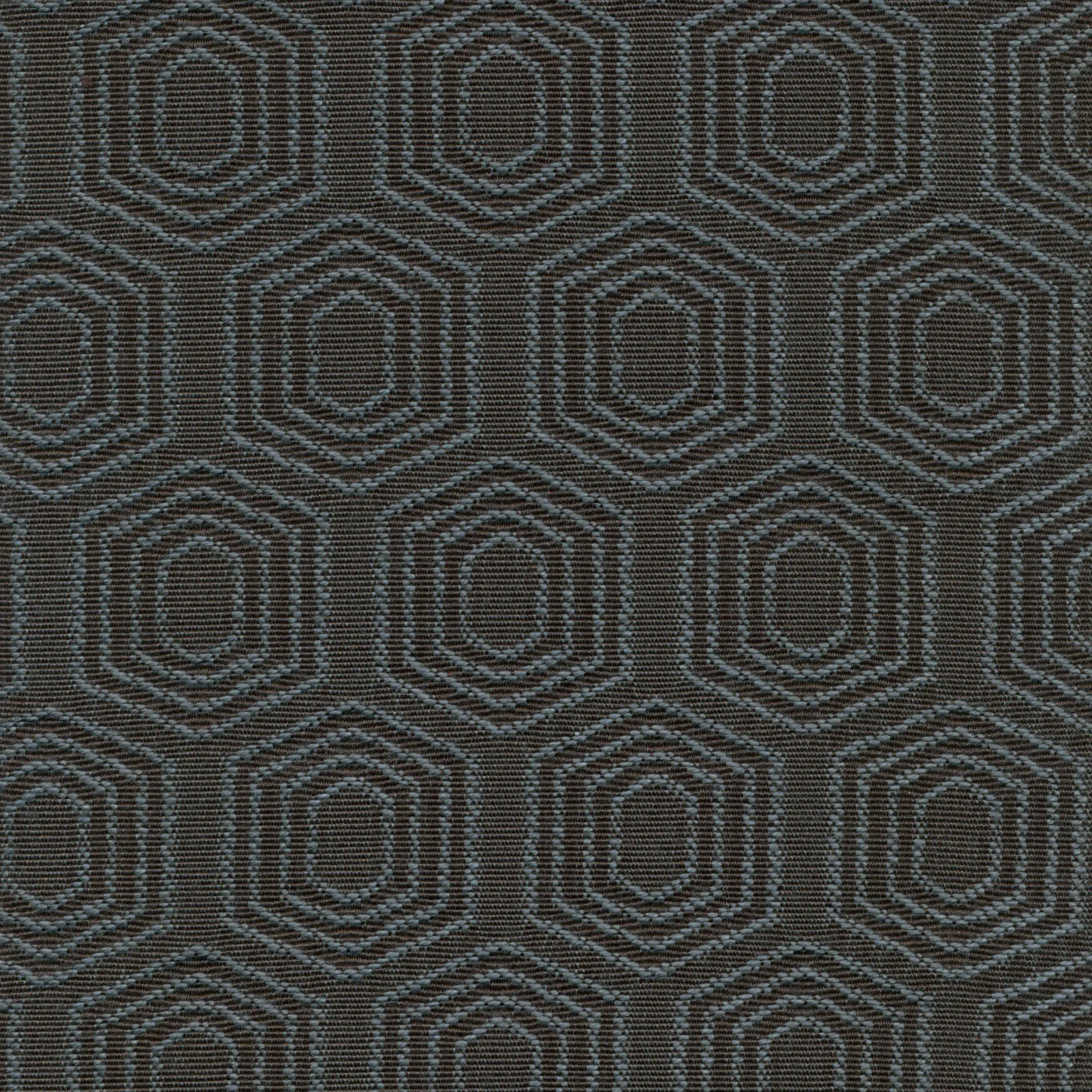 Chestnut 51 | Vigor