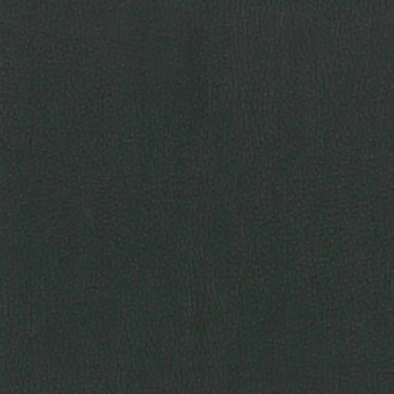 Graphite 099
