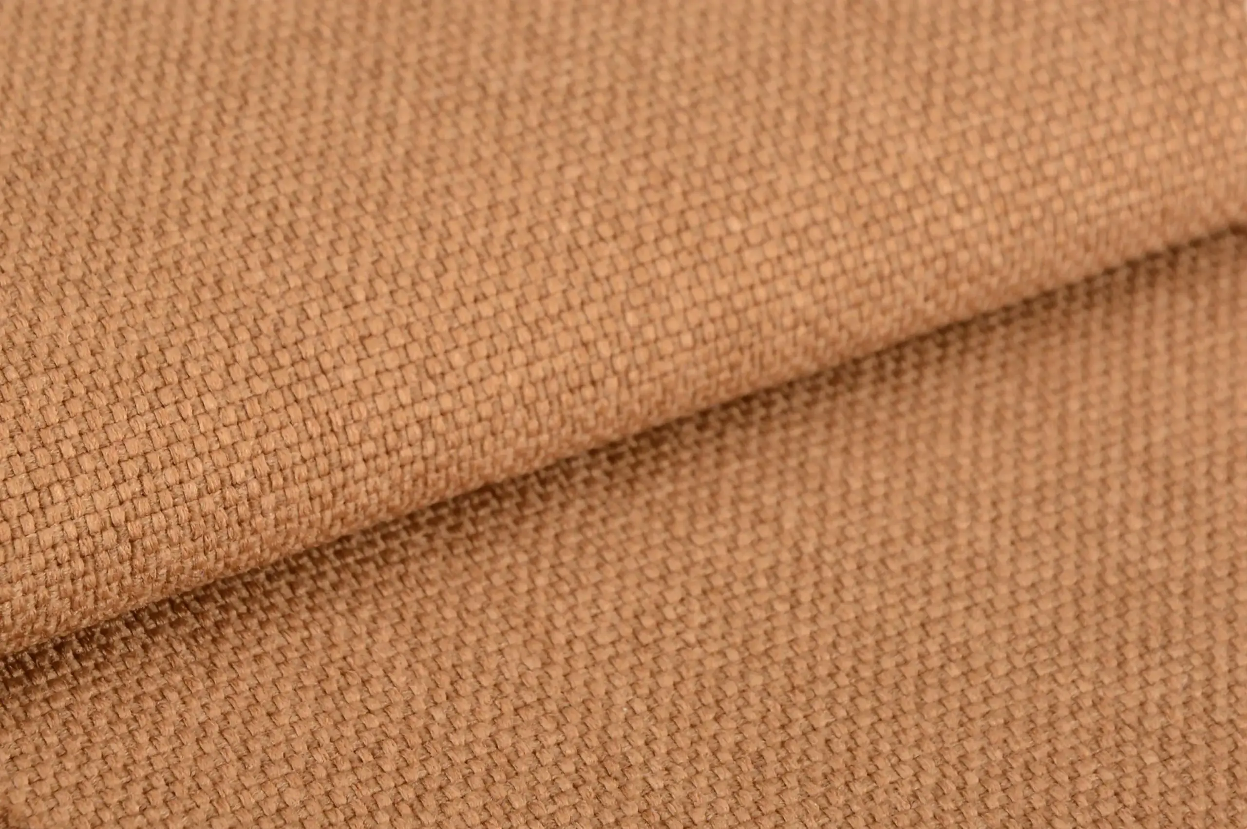 Walnut 011 | Prime