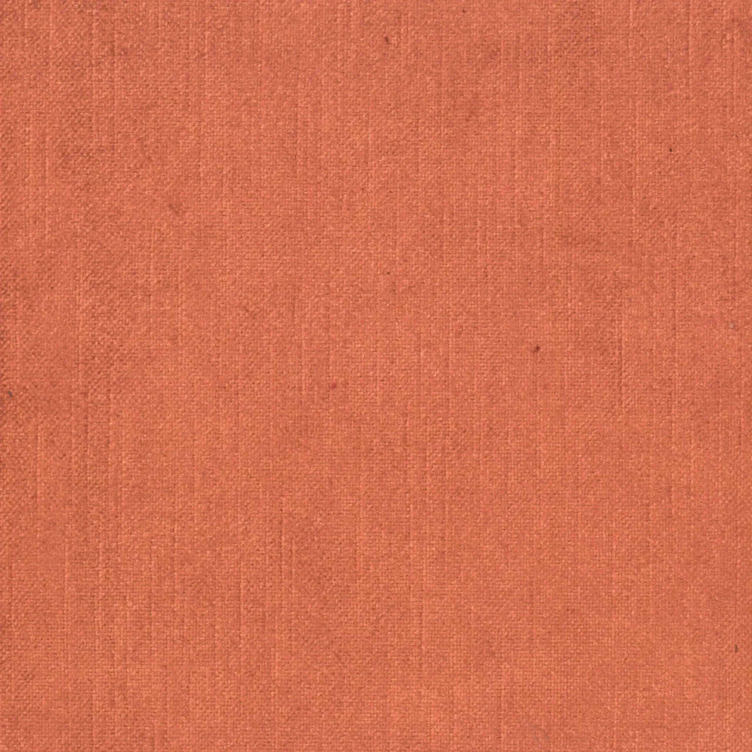 Terracotta 337 | York