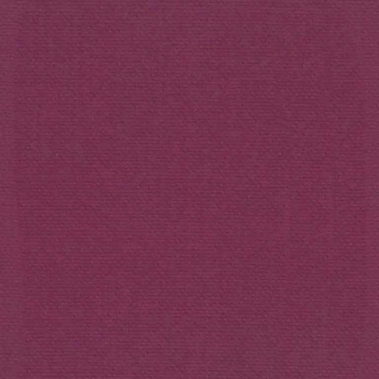 Fuchsia 42