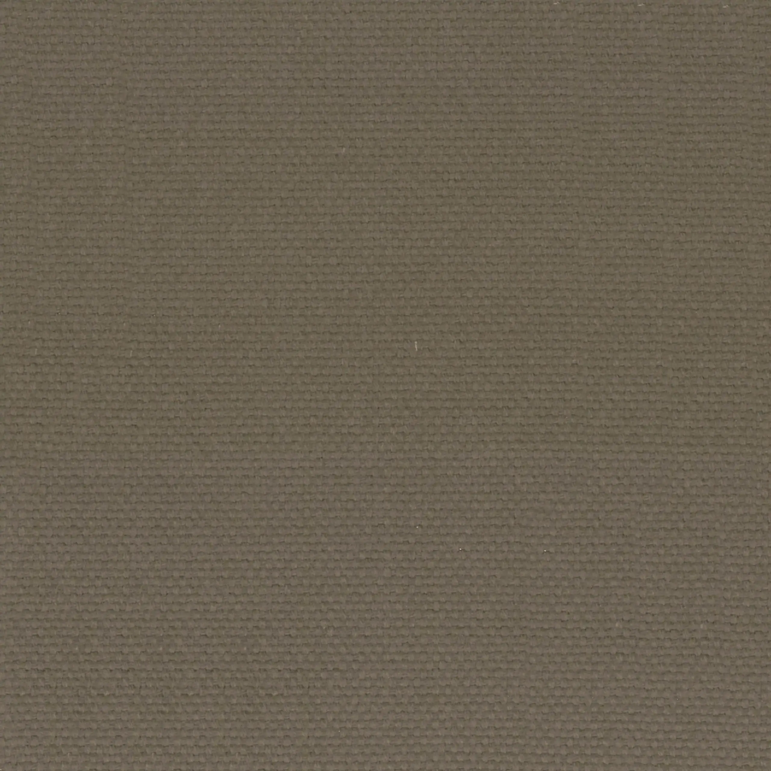 Pewter 38 | Ringo