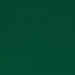 Fir Tree 5285 | Spring