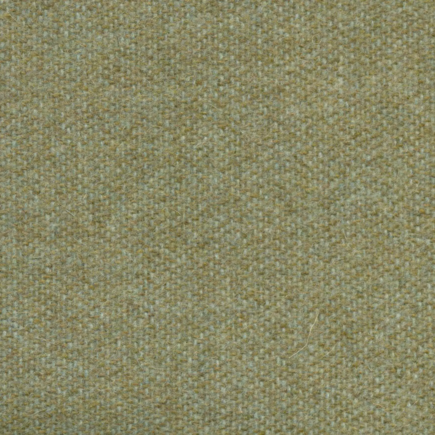 Seafoam 481 | Savoy FR
